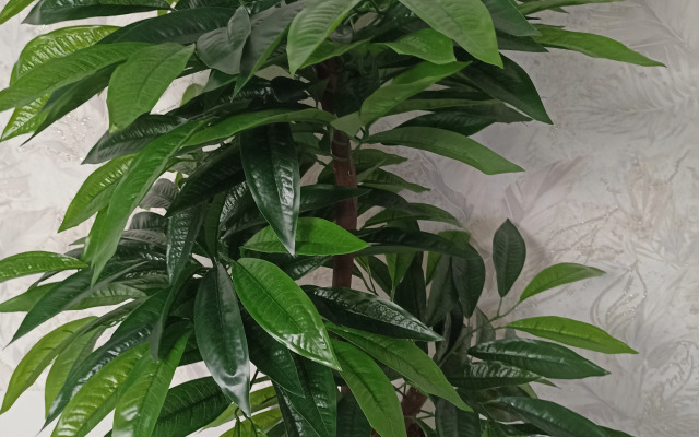 Апартаменты элитные у ТЦ Евроленд