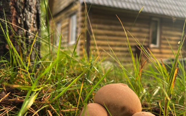 Ladoga Ryadom Guest House