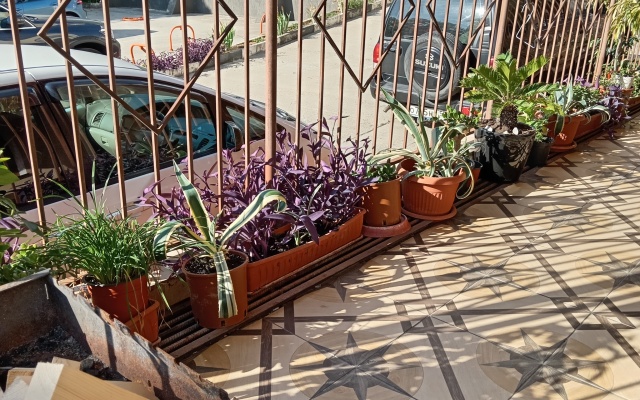 Nadezhda Guest House