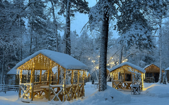 Khvoya trexkomnatnyi lyks Shalet