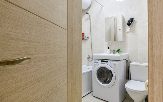 Zhivi V Pesochnom Studiya Skandinaviya Flat