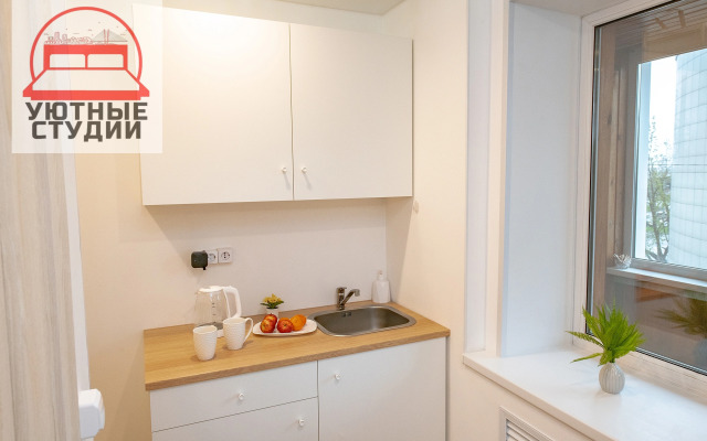 Квартира-студия на Некрасовской