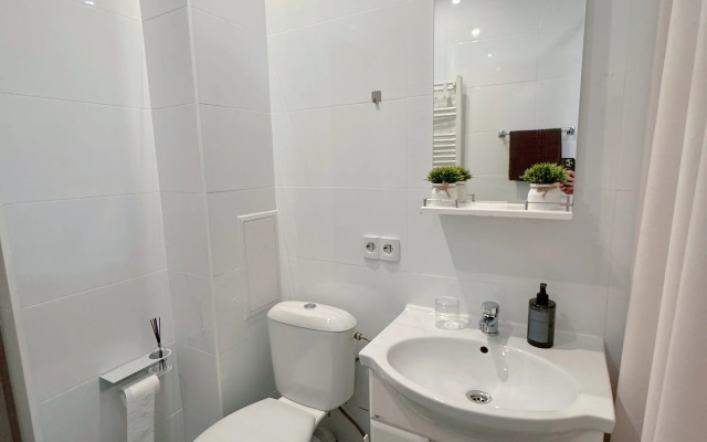 V Samom Tsentre Istoricheskogo Rayona Amalienau Flat