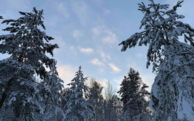 Гостевой Дом Вилла Ранду