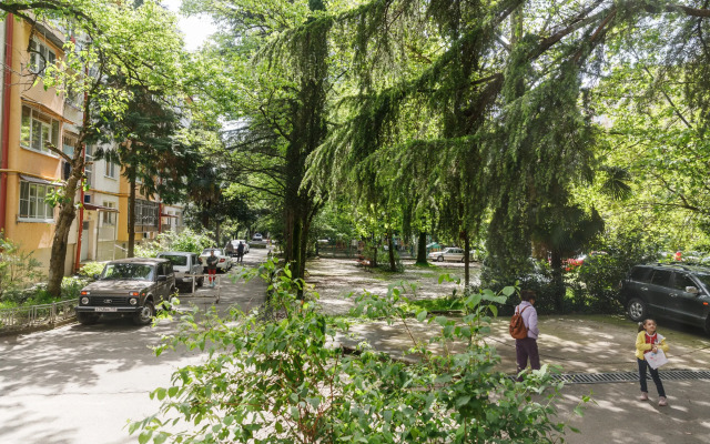 3-Kh Komnatnaya V Tsentre Adlera Flat