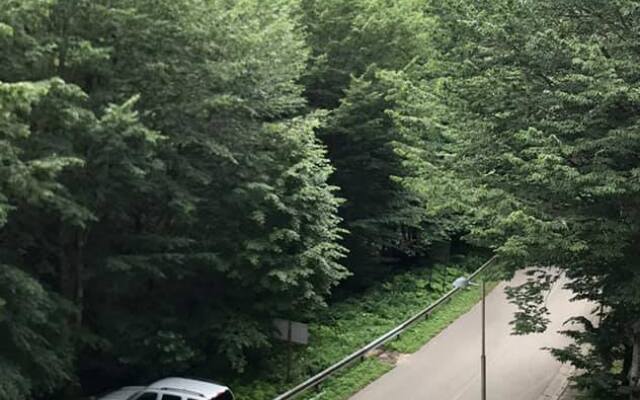 Apartment Sairme Hotel