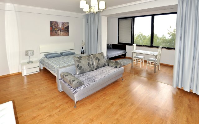 Vinogradnaya 22 G Apartments