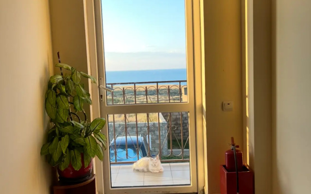 Fortuna Guest house