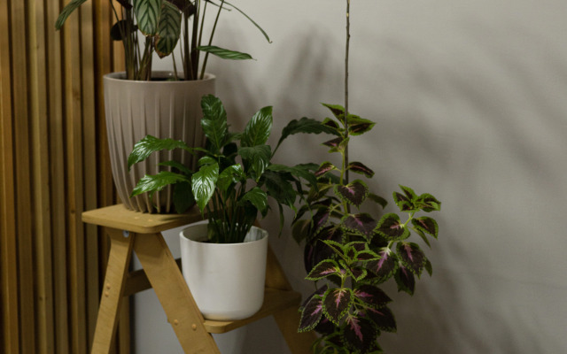 Мини-отель 4 комнаты