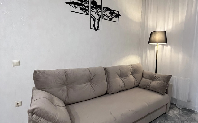 Квартира Евродвухкомнатая стильная квартира