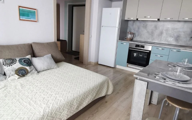 Prostornaya I Uyutnaya Yevro-Dvushka V Serdtse Tyumeni Flat