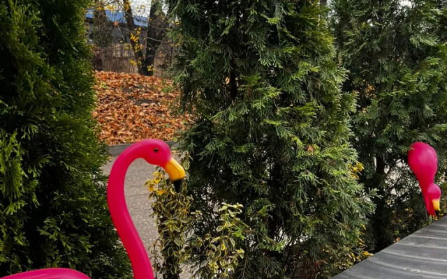 Отель  Турист Кисловодск