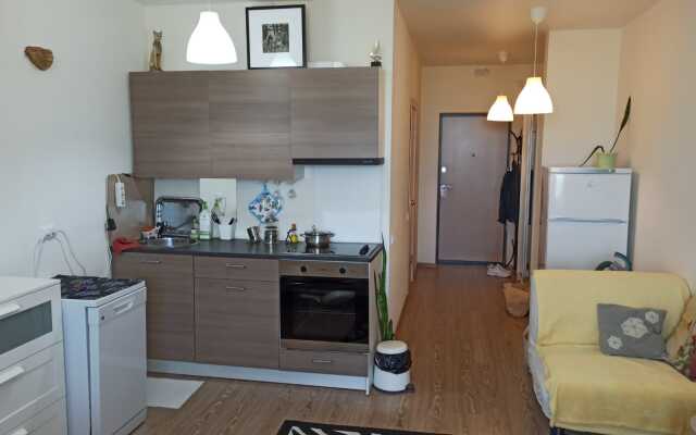 Апартаменты Светлый 26 этаж