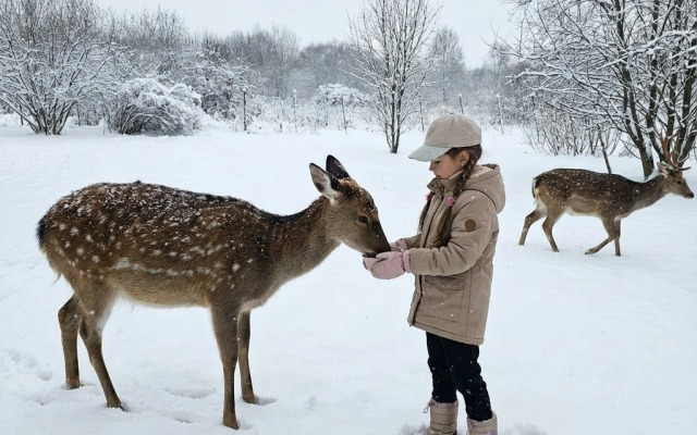 Гостевой дом Бэмби Лэнд