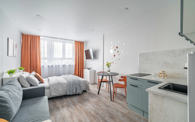 Studiya S Vidom Na Gory Lyzhnikov 3 Flat