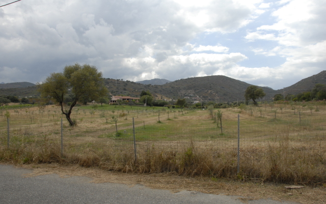 Appartamenti Tiffany