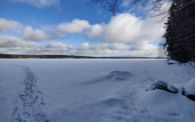 Частный дом Лес Озеро