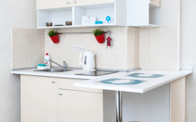 Апартаменты Домант Романова 60/1 (6)