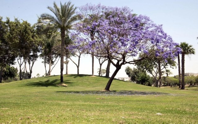 Курортный Отель Swiss Inn Pyramids Golf Resort - фото 2