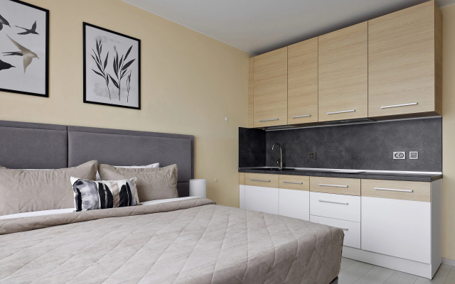 Studiya Na Vasilyevskom Ostrove Apartments