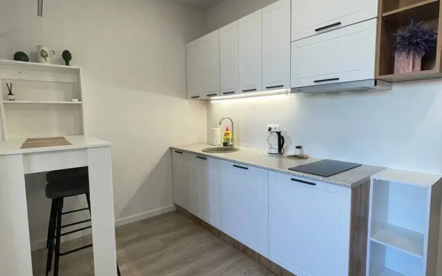 Studiya U Zhd Vokzala Apartments
