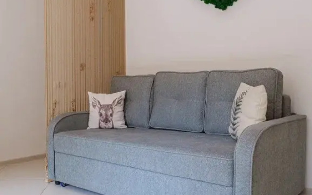 Квартира Студия "Шишки"