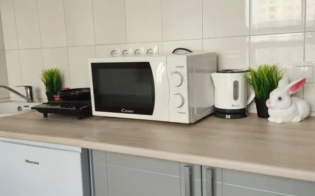 Uyutnaya studiya Flat