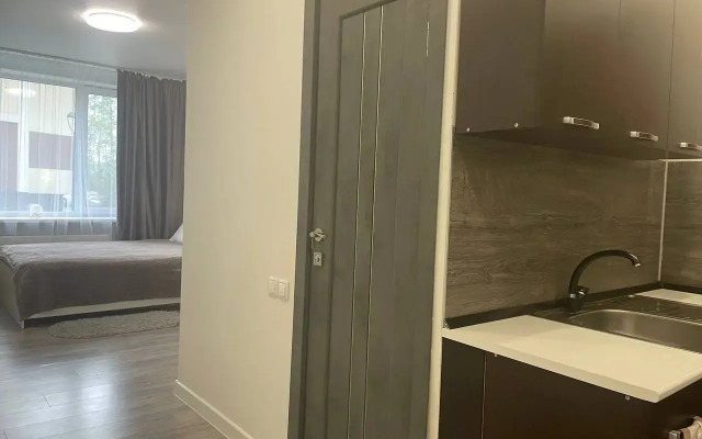 Studiya S Otdelnoy Kukhney Flat
