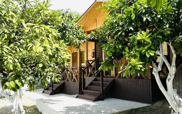 Bugenvilliya Guest House