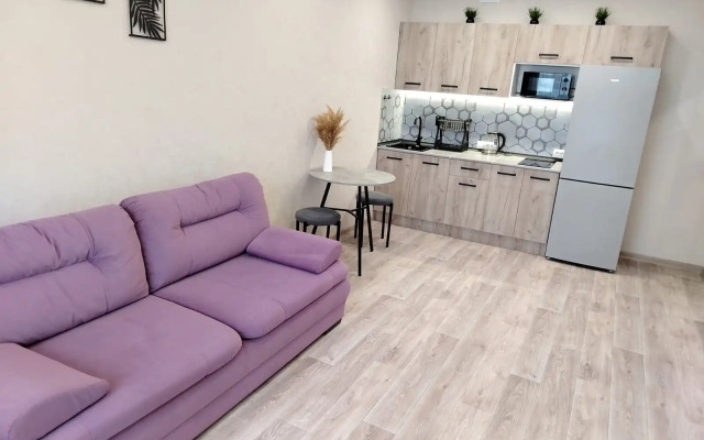 Апартаменты Уютная Студия на Сибиряков-Гвардейцев 53/10