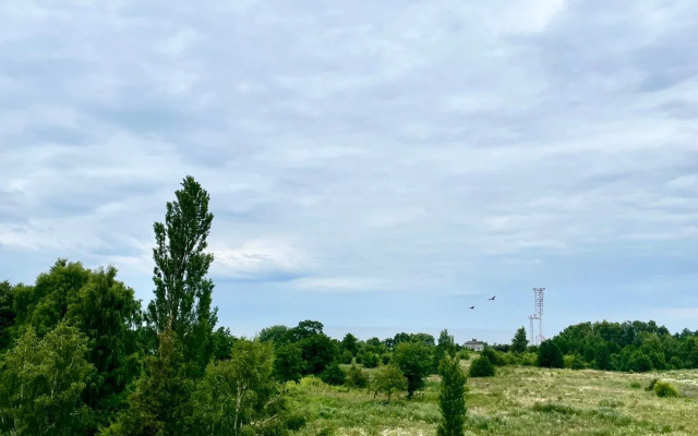 Квартира просторная в Пионерском