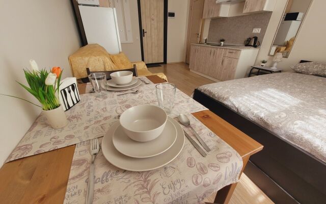 Квартира - студия в иcтoричeскoм цeнтре Санкт-Пeтеpбургa (3)