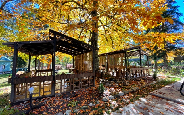 Grin Park Spa & Usadba Hotel
