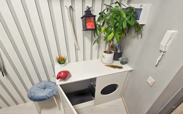 Lyuks Na Vasilyevskom Ostrove Apartments