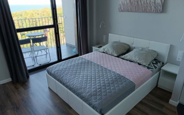 Апартаменты 1 Холидей Светлогорск