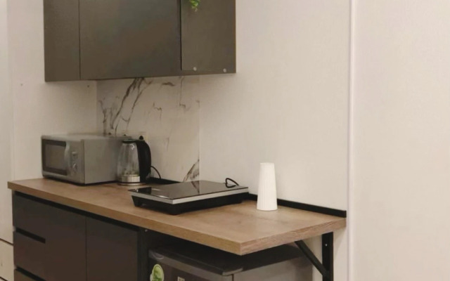 Апартаменты Просторная студия в сердце Петербурга