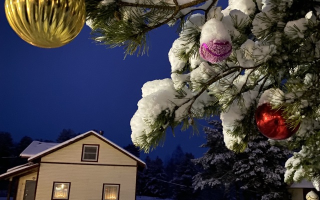 База отдыха Эко Хутор Рай Сяля