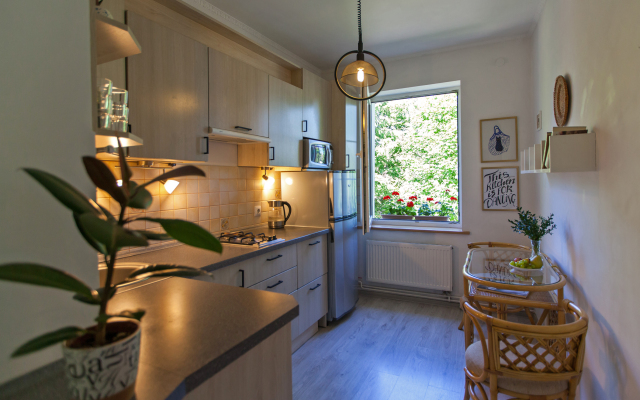 Апартаменты с камином в Амалиенау