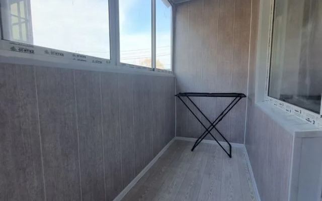 Na Radischeva  Flat