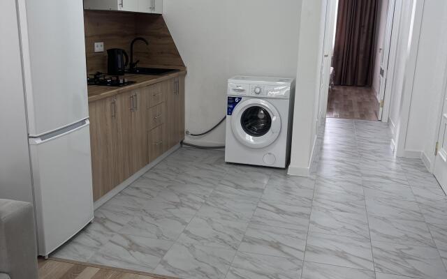 Siti Tsentr Apartments