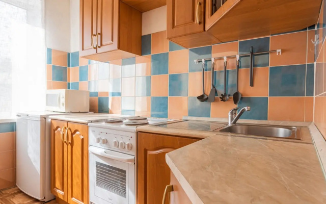 Odnokomnatnyye Passazhir 1 Apartments