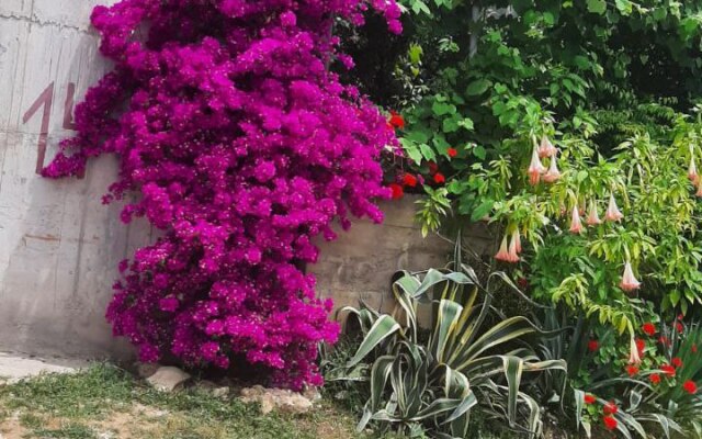 Elida Guest House