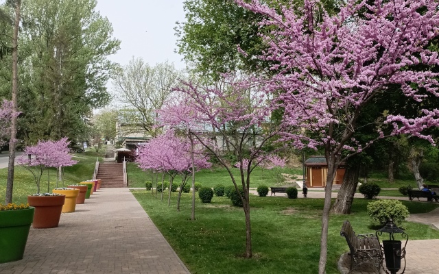 Частный дом у Парка