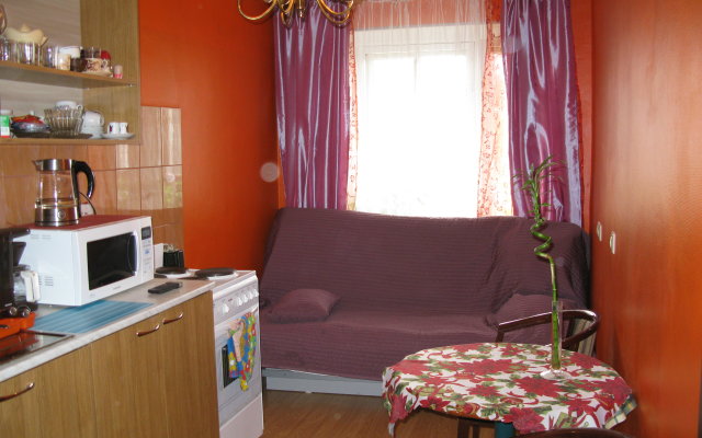 U Metro Bolshevikov Loft