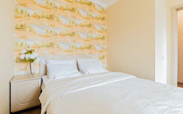 Апартаменты Петровские на Советской, 60