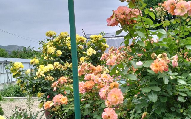 Частный Дом Уютный с Видом на Горы