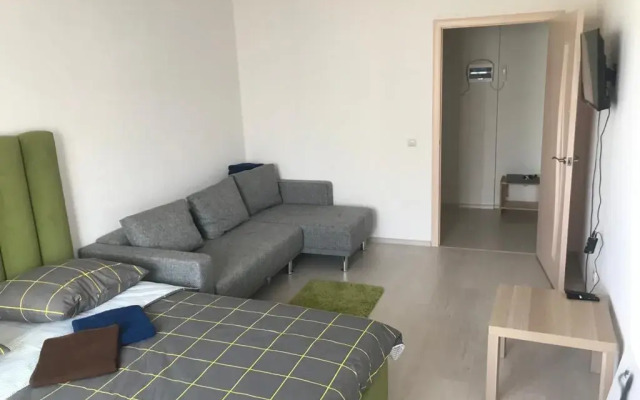 Dreamhouse Na Sputnikov Apartments