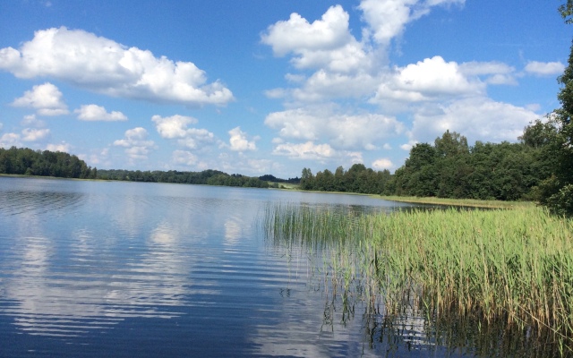Бунгало Изба на Опушке. Хутор Пралище