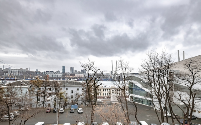 Dvukhkomnatnyye na Pushkinskoy 55 Apartaments