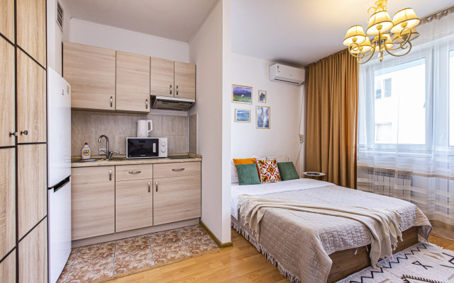 S Krasivym Vidom Na Gory Flat